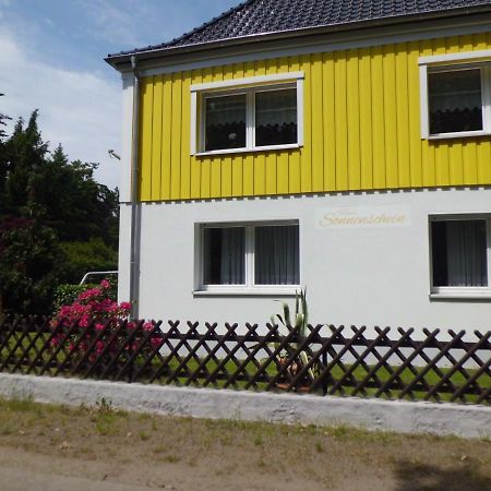 Ferienwohnung Im Haus Sonnenschein Beim Senftenberger See Hosena 外观 照片