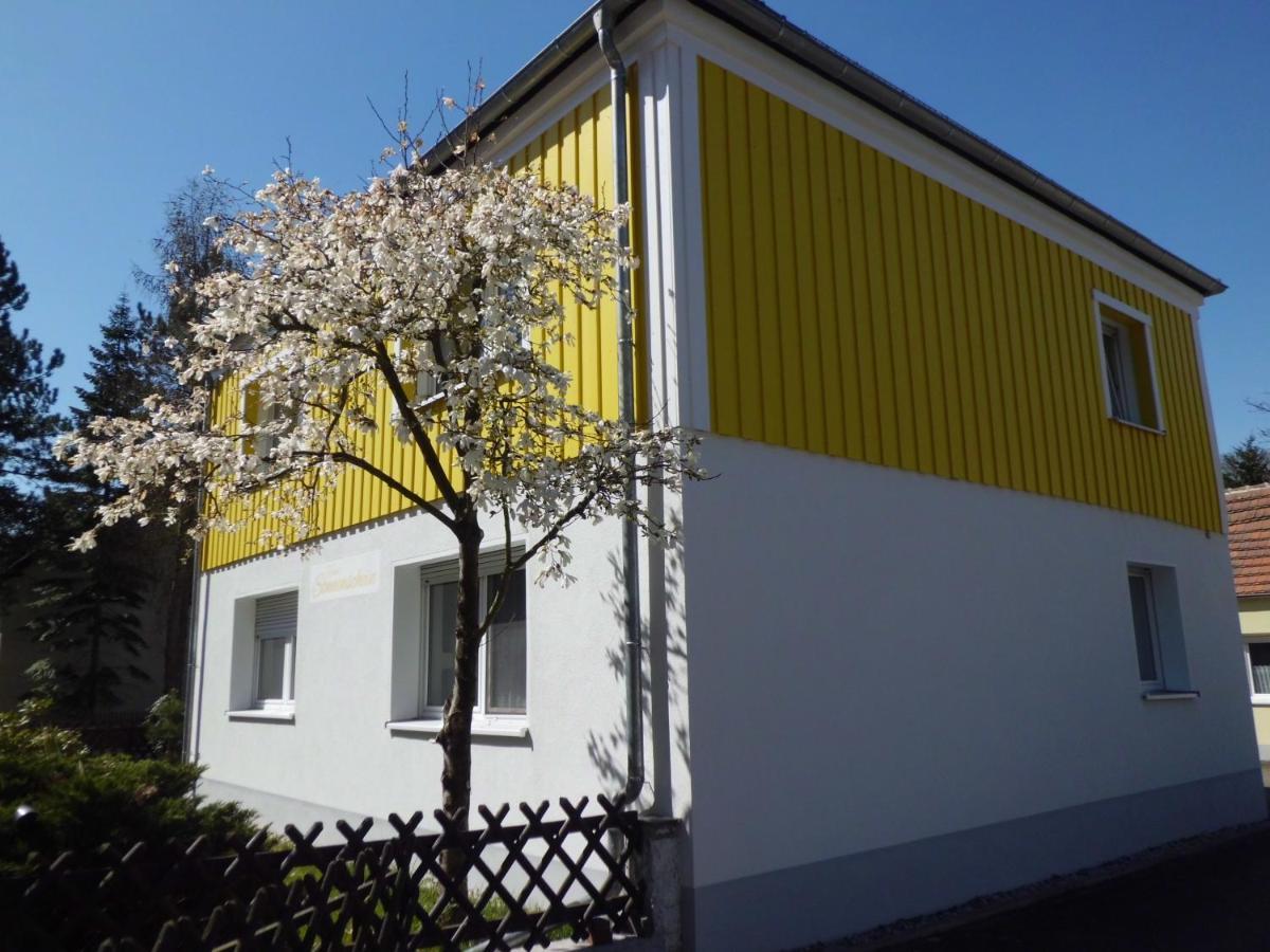 Ferienwohnung Im Haus Sonnenschein Beim Senftenberger See Hosena 外观 照片
